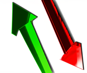 WebKarobar Daily Market Movers